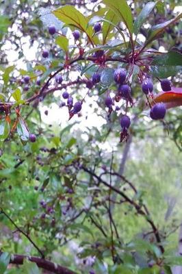 Cover of Journal Berries Fruit Tree Branches