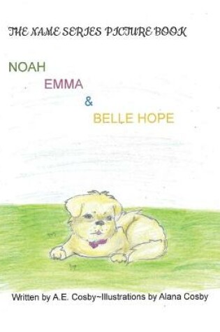 Cover of The Name Series Picture Book