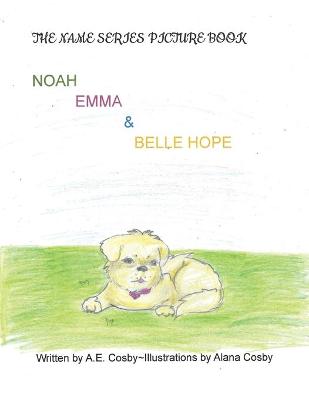 Book cover for The Name Series Picture Book