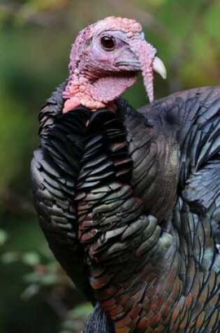 Cover of Handsome Mr. Turkey Portrait Journal