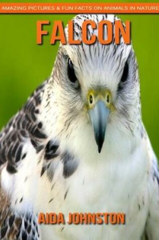 Cover of Falcon