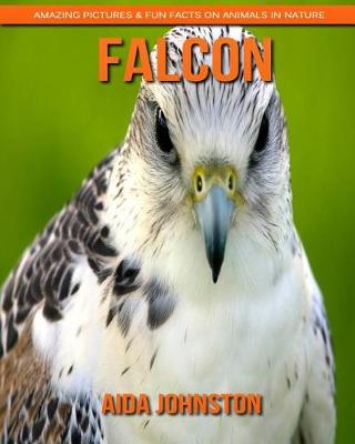 Book cover for Falcon