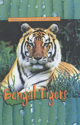 Book cover for Animals of the Rainforest: Bengal Tigers
