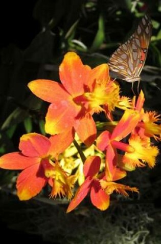 Cover of Epidendrum Orchid and a Butterfly, for the Love of Flowers