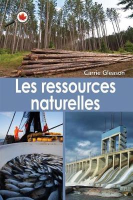 Book cover for Le Canada Vu de Pr?s: Les Ressources Naturelles