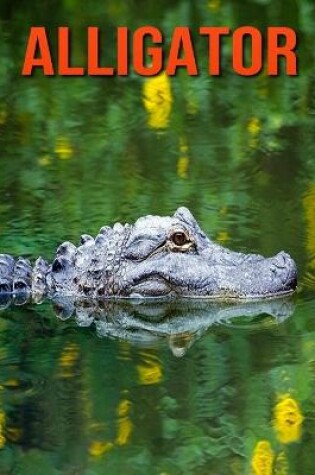 Cover of Alligator