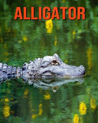 Book cover for Alligator