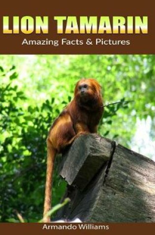 Cover of Lion Tamarin