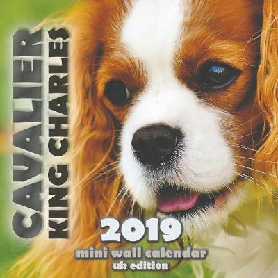 Book cover for Cavalier King Charles 2019 Mini Wall Calendar (UK Edition)