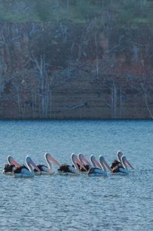 Cover of Pelicans on the Lake Journal