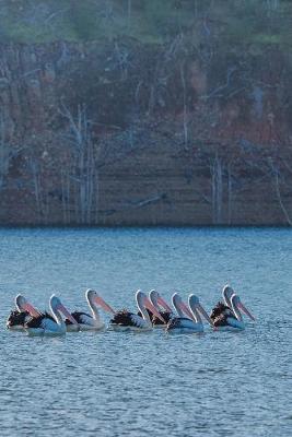 Book cover for Pelicans on the Lake Journal