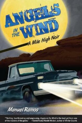 Cover of Angels in the Wind