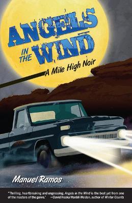 Book cover for Angels in the Wind