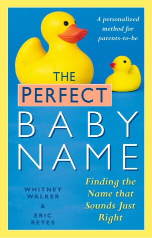 Book cover for The Perfect Baby Name