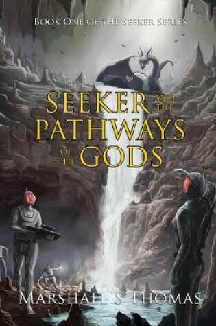 Cover of Seeker and the Pathways of the Gods