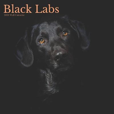 Book cover for Black Labs 2021 Wall Calendar