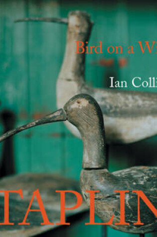 Cover of Bird on a Wire: the Life and Art of Guy Taplin