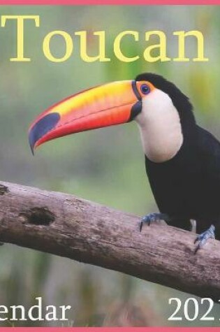 Cover of 2021 toucan