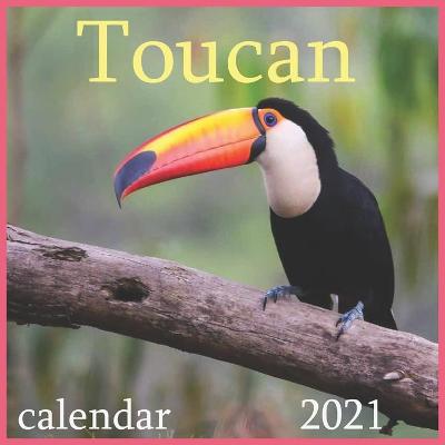 Book cover for 2021 toucan
