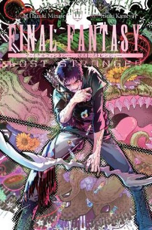 Cover of Final Fantasy Lost Stranger, Vol. 11