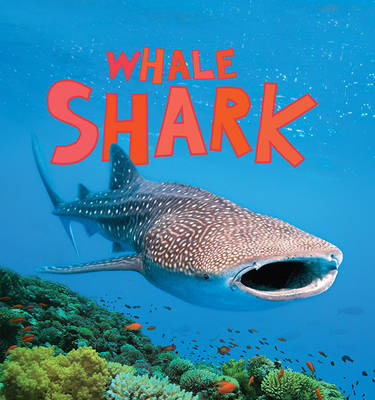 Book cover for Discover Sharks: Whale Shark