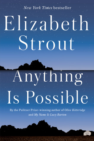 Book cover for Anything Is Possible