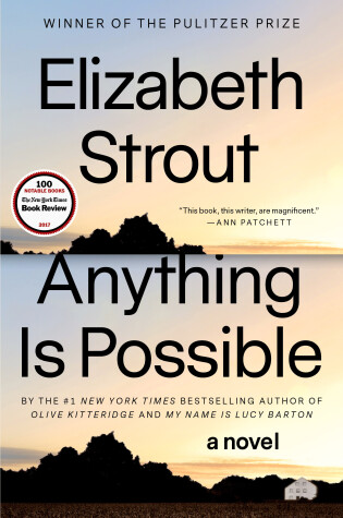 Cover of Anything Is Possible