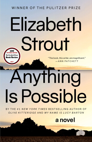 Book cover for Anything Is Possible