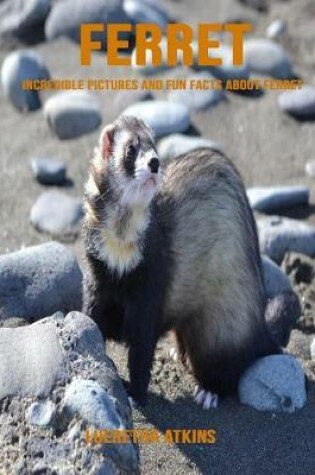 Cover of Ferret