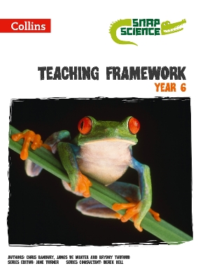 Book cover for Teaching Framework Year 6