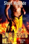 Book cover for Dangerous Heat