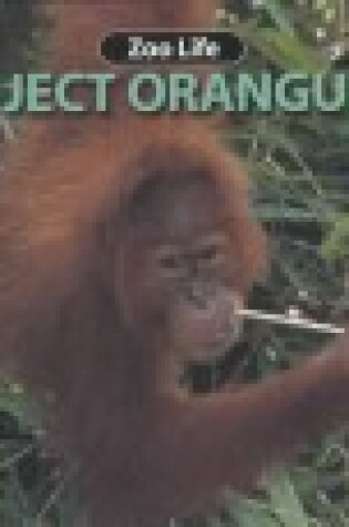 Cover of Project Orangutan