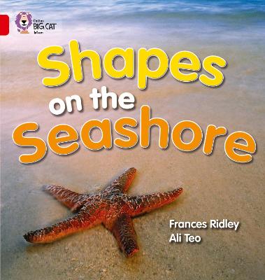 Cover of Shapes on the Seashore