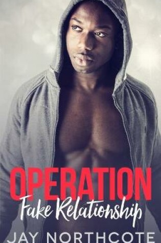 Cover of Operation Fake Relationship