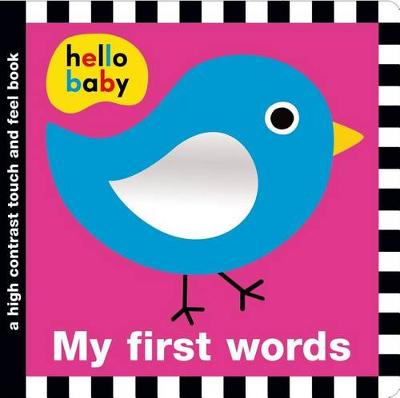 Book cover for Touch and Feel First Words