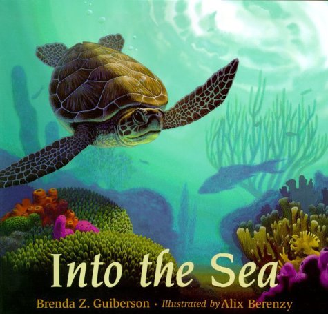 Book cover for Into the Sea