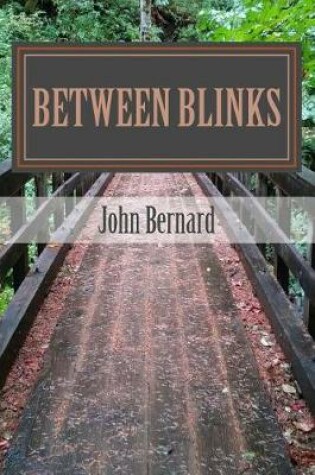 Cover of between blinks