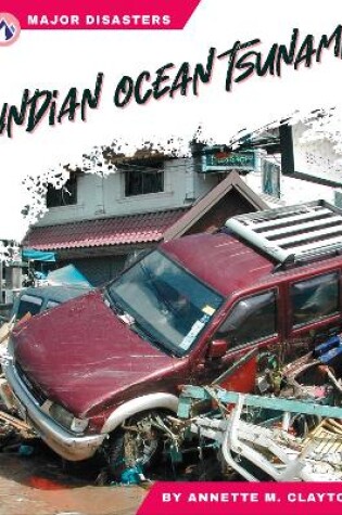 Cover of Indian Ocean Tsunami