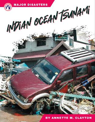 Book cover for Indian Ocean Tsunami