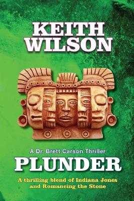 Book cover for Plunder