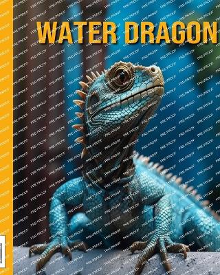 Book cover for Water Dragon