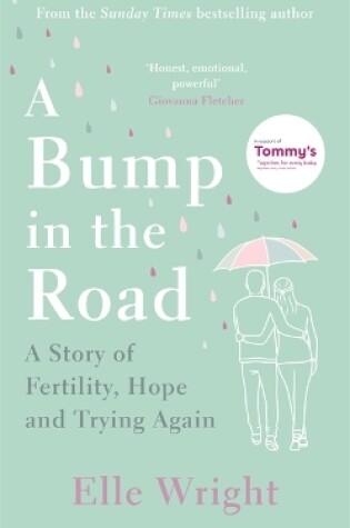 Cover of A Bump in the Road