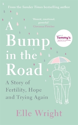 Book cover for A Bump in the Road