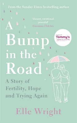 Book cover for A Bump in the Road