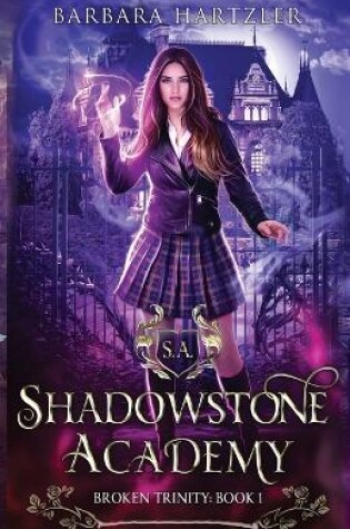 Cover of Shadowstone Academy, Book 1