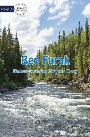 Cover of Wonderful Water- Bee Furak