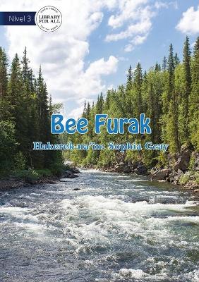 Book cover for Wonderful Water- Bee Furak