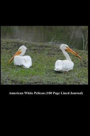 Cover of American White Pelican (100 Page Lined Journal)