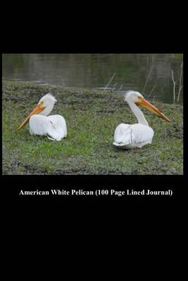 Book cover for American White Pelican (100 Page Lined Journal)