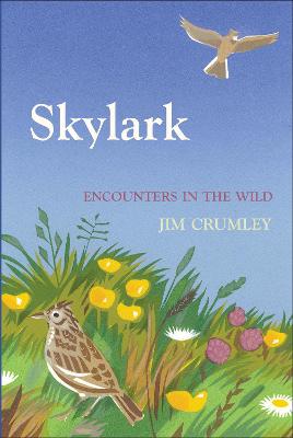 Book cover for Skylark